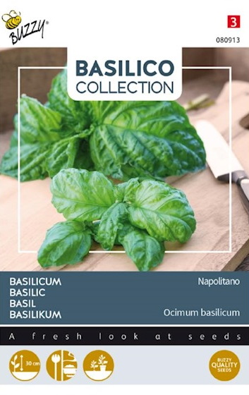 Basilikum Napolitana (Ocimim basilicum) 900 Samen BU
